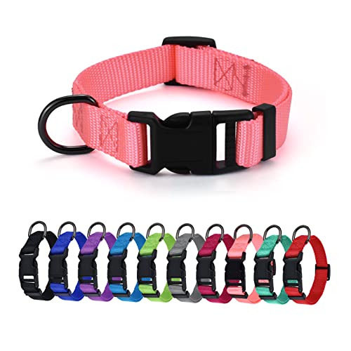 AUDWUD Dickes Nylonhalsband,klassisches verstellbares Hundehalsband in Mehreren Farben,geeignet für kleine,mittlere und große Hunde,4 Größen AUDWUD Dickes Nylonhalsband,klassisches verstellbares Hundehalsband in Mehreren Farben,geeignet für kleine,mittlere und große Hunde,4 Größen von AUDWUD
