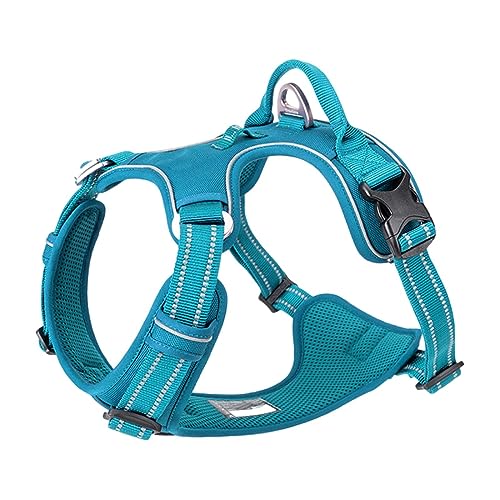 AUHAIEM Hundegeschirr Ohne Ziehen Einfache Kontrolle FüR GroßE MittelgroßE Und Kleine Hunde Reflektierende Hundeweste Haustiergeschirre,02,43 * 56cm AUHAIEM Hundegeschirr Ohne Ziehen Einfache Kontrolle FüR GroßE MittelgroßE Und Kleine Hunde Reflektierende Hundeweste Haustiergeschirre,02,43 * 56cm von AUHAIEM