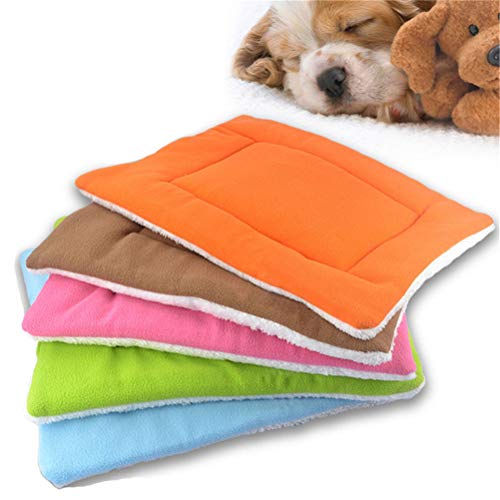 AUNMAS Zufällige Farbe, Niedlich, Gemütlich, Haustier, Hund, Weiche Bettmatte, Plüsch, 45 X 35 cm, Weiches Hundebett, Haustierkissen, Winter-Haustierbedarf AUNMAS Zufällige Farbe, Niedlich, Gemütlich, Haustier, Hund, Weiche Bettmatte, Plüsch, 45 X 35 cm, Weiches Hundebett, Haustierkissen, Winter-Haustierbedarf von AUNMAS