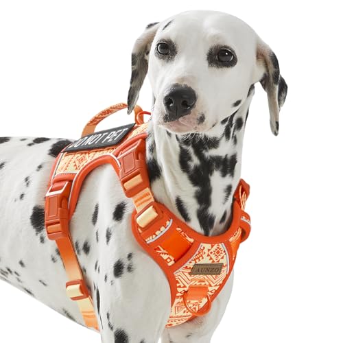 AUNZO Taktisches Hundegeschirr, kein Ziehen, einfaches Spazierengehen, Haustiergeschirr für Spaziergänge, Training, Wandern, für mittelgroße Hunde, mit 2 Leinenclips, 3 Schnallen, reflektierender AUNZO Taktisches Hundegeschirr, kein Ziehen, einfaches Spazierengehen, Haustiergeschirr für Spaziergänge, Training, Wandern, für mittelgroße Hunde, mit 2 Leinenclips, 3 Schnallen, reflektierender von AUNZO