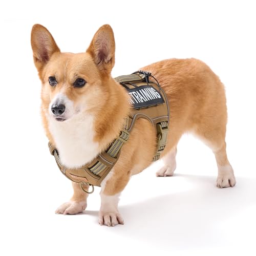 AUNZO Verstellbares Hundegeschirr für kleine Hunde, einfache Kontrolle mit Griff, für Havaneser, Chihuahua, Mops usw., unausweichlich, sicheres Gehen, sichere reflektierende Streifen, kein Reiben, AUNZO Verstellbares Hundegeschirr für kleine Hunde, einfache Kontrolle mit Griff, für Havaneser, Chihuahua, Mops usw., unausweichlich, sicheres Gehen, sichere reflektierende Streifen, kein Reiben, von AUNZO