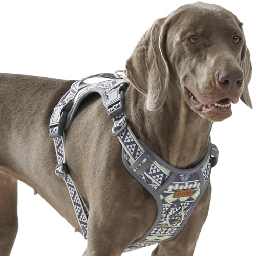 Hundegeschirr, verstellbar, extra groß, kein Ziehen, einfaches Gehen, niedliches Haustiergeschirr mit Tribal-Muster, atmungsaktives Oxford-Material, 2 Leinenclips und 3 Schnallen, Deutscher Hundegeschirr, verstellbar, extra groß, kein Ziehen, einfaches Gehen, niedliches Haustiergeschirr mit Tribal-Muster, atmungsaktives Oxford-Material, 2 Leinenclips und 3 Schnallen, Deutscher von AUNZO