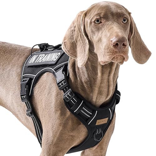 Hundegeschirr ohne Ziehen, für extra große Hunde, Freigabe am Hals, für Alaska Malamute, Bullmastiff, Rottweiler, Dogge usw., für Training, lässige Spaziergänge, Joggen, einfache Kontrolle Weste mit Hundegeschirr ohne Ziehen, für extra große Hunde, Freigabe am Hals, für Alaska Malamute, Bullmastiff, Rottweiler, Dogge usw., für Training, lässige Spaziergänge, Joggen, einfache Kontrolle Weste mit von AUNZO