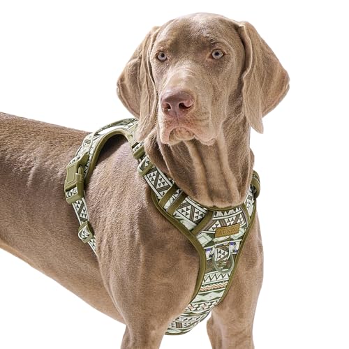 No Pull Hundegeschirr für große Hunde mit 2 Metallclips, einfaches An- und Ausziehen mit Halsschnalle, strapazierfähige, verstellbare Welpenweste, atmungsaktives Haustiergeschirr mit leicht zu No Pull Hundegeschirr für große Hunde mit 2 Metallclips, einfaches An- und Ausziehen mit Halsschnalle, strapazierfähige, verstellbare Welpenweste, atmungsaktives Haustiergeschirr mit leicht zu von AUNZO