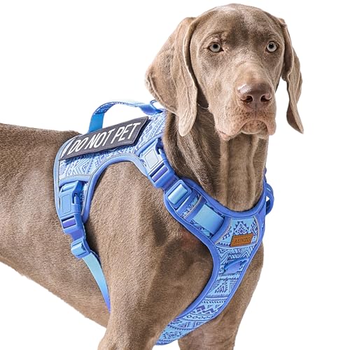 No Pull Hundegeschirr für große Hunde mit 2 Metallclips, einfaches An- und Ausziehen mit Halsschnalle, strapazierfähige, verstellbare taktische Welpenweste, atmungsaktives Haustiergeschirr mit No Pull Hundegeschirr für große Hunde mit 2 Metallclips, einfaches An- und Ausziehen mit Halsschnalle, strapazierfähige, verstellbare taktische Welpenweste, atmungsaktives Haustiergeschirr mit von AUNZO