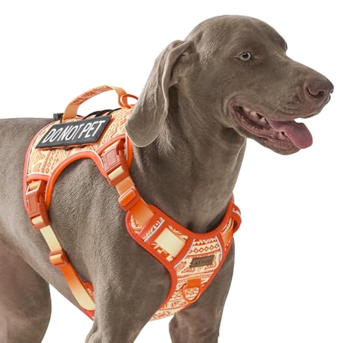 Orange Taktisches Hundegeschirr mit ethnischem Muster für große Hunde, wie Englische Bulldogge, Dobermann, Husky, Rottweiler, Labrador, einfaches An- und Ausziehen, kein Ziehen, leichtes Gehen Orange Taktisches Hundegeschirr mit ethnischem Muster für große Hunde, wie Englische Bulldogge, Dobermann, Husky, Rottweiler, Labrador, einfaches An- und Ausziehen, kein Ziehen, leichtes Gehen von AUNZO