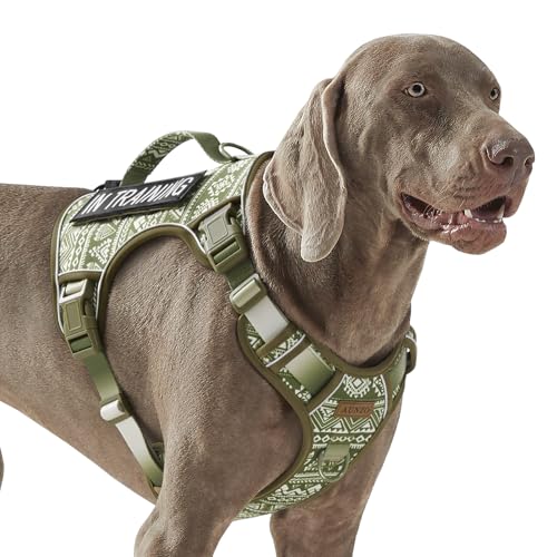 Strapazierfähiges taktisches Hundegeschirr für große Hunde, kein Ziehen, Labrador Golden Retriever Deutscher Schäferhund, verstellbar, weich gepolsterte Hundeweste, atmungsaktive Haustier-Oxford-Weste Strapazierfähiges taktisches Hundegeschirr für große Hunde, kein Ziehen, Labrador Golden Retriever Deutscher Schäferhund, verstellbar, weich gepolsterte Hundeweste, atmungsaktive Haustier-Oxford-Weste von AUNZO