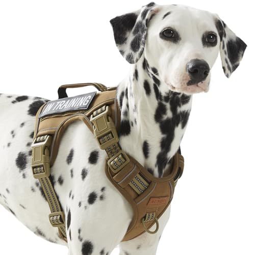 Taktisches Hundegeschirr für mittelgroße Hunde, kein Ziehen, verstellbar, reflektierend, mit Griff, für Arbeitstraining, Wandern, Spazierengehen, ausbruchsicher, Armeegrün, Haustierweste für M Taktisches Hundegeschirr für mittelgroße Hunde, kein Ziehen, verstellbar, reflektierend, mit Griff, für Arbeitstraining, Wandern, Spazierengehen, ausbruchsicher, Armeegrün, Haustierweste für M von AUNZO