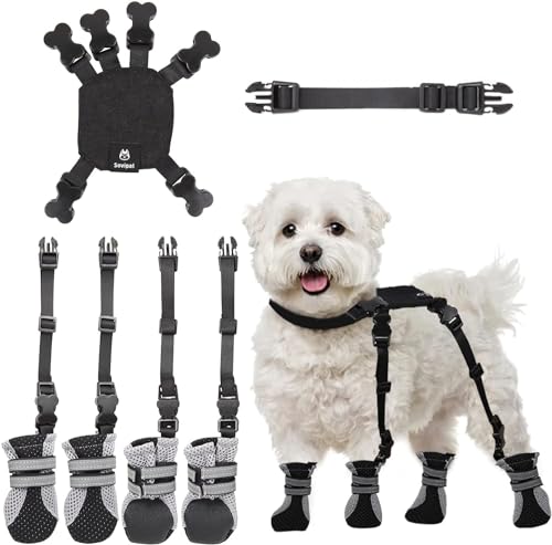 AURAMAX Die Hundestiefel verfügen über ein verlustbeständiges Design, Schnallenriemen und Wetterbeständigkeit.Kleine Hundeschuhe sind perfekt für Spaziergänge im Freien und im Innenbereich. AURAMAX Die Hundestiefel verfügen über ein verlustbeständiges Design, Schnallenriemen und Wetterbeständigkeit.Kleine Hundeschuhe sind perfekt für Spaziergänge im Freien und im Innenbereich. von AURAMAX