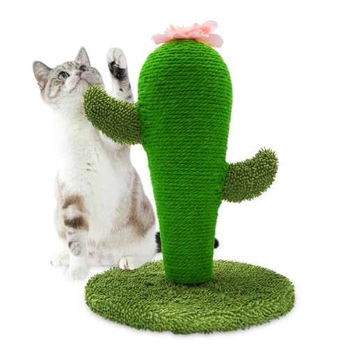 AUSCAT Kaktus Kratzsäule für Katzen, Süßer Kaktus-Kratzsäule, Katzenspielzeug aus Natursisal Indoor für Kätzchen von AUSCAT