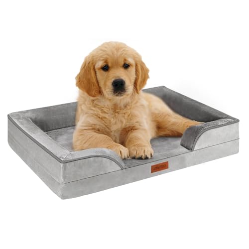 AUSCAT Orthopädisches Hundebett Kleine Hunde - Hundebett Memory Foam mit Abnehmbarem, Waschbarem Bezug, Wasserdichtem Futter und Rutschfester Unterseite, 60cm L x 45cm W x 15cm H (Grau) von AUSCAT