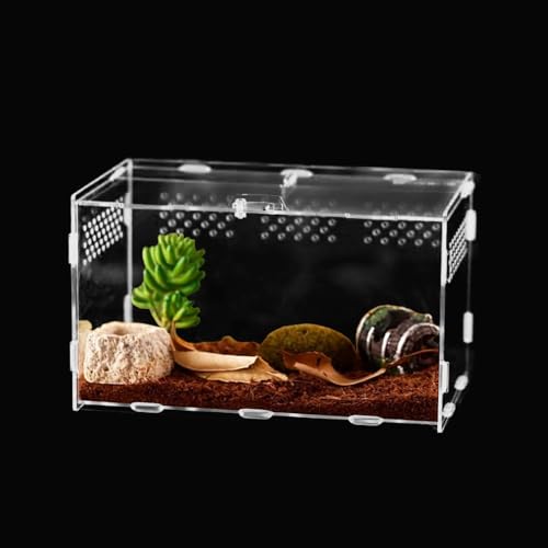 AUSTUFF Insekten-Futterbox, 30 x 20 x 15 cm, Acryl-Terrarium-Behälter für Spinne, Eidechse, Frosch, Skorpion, tragbarer Krabbeltier-Lebensraum für Reptilien, mit Belüftungsöffnungen, von AUSTUFF