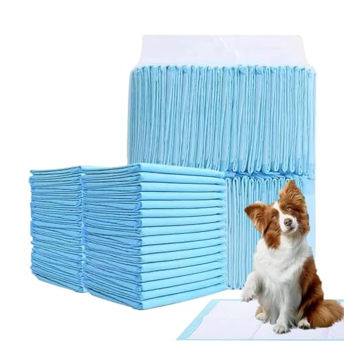 AUTOECHO Hunde-PIPI-Pads, Töpfchen-Pads für Hunde,Super saugfähige Welpenunterlagen | Pinkel-Pads für das Training von Welpen, schnell trocknend, Keine auslaufenden Pinkel-Pads, Hunde-Trainingspads AUTOECHO Hunde-PIPI-Pads, Töpfchen-Pads für Hunde,Super saugfähige Welpenunterlagen | Pinkel-Pads für das Training von Welpen, schnell trocknend, Keine auslaufenden Pinkel-Pads, Hunde-Trainingspads von AUTOECHO