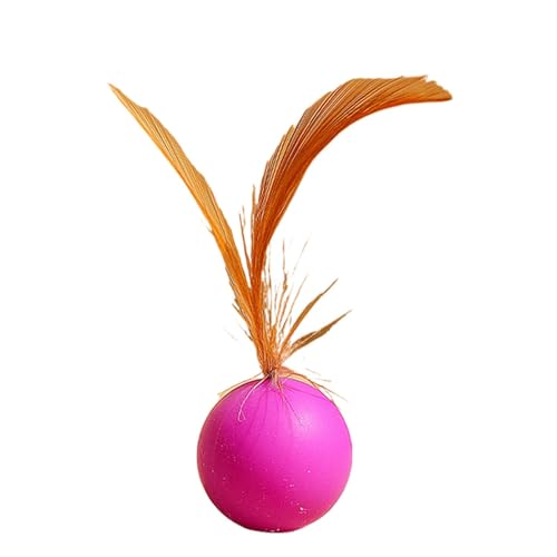 AUTOECHO Katzenbälle Spielzeug für Hauskatzen, Kätzchenballspielzeug | Interaktives Hüpfball-Katzenspielzeug mit Federn - Solide, elastische, bissfeste Gummi-Haustiere, interaktiver Hüpfball für AUTOECHO Katzenbälle Spielzeug für Hauskatzen, Kätzchenballspielzeug | Interaktives Hüpfball-Katzenspielzeug mit Federn - Solide, elastische, bissfeste Gummi-Haustiere, interaktiver Hüpfball für von AUTOECHO