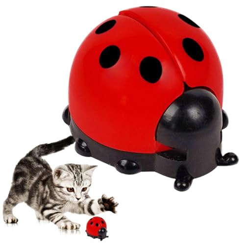 AUTOECHO Katzenminze-Wandball, Katzenminze-Bälle für Katzen - Süße Wand-Katzenminze-Bälle | Essbarer Spielzeugball mit Katzenminze, Kätzchen-Beißspielzeug mit Aufbewahrungsdeckel für drinnen und AUTOECHO Katzenminze-Wandball, Katzenminze-Bälle für Katzen - Süße Wand-Katzenminze-Bälle | Essbarer Spielzeugball mit Katzenminze, Kätzchen-Beißspielzeug mit Aufbewahrungsdeckel für drinnen und von AUTOECHO