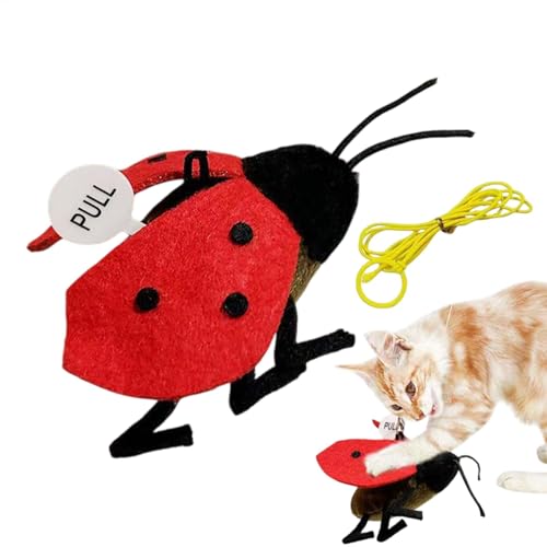 AUTOECHO Katzenpatzler, Hangable Cat Toys,Schöner Sound Ladybug Catnip Ball - Eingebauter Vibrationssensor kleines Haustier-Unterhaltungsspiel für die Reiseanwendung AUTOECHO Katzenpatzler, Hangable Cat Toys,Schöner Sound Ladybug Catnip Ball - Eingebauter Vibrationssensor kleines Haustier-Unterhaltungsspiel für die Reiseanwendung von AUTOECHO