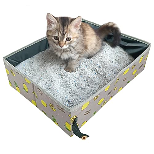 AUTOECHO Katzentoilette - Katzentoilette mit hohen Seiten zum Öffnen | Langlebige Katzentoilette mit Seitensieb für kleine Katzen. Sichere und geruchsneutrale Katzentoilette von AUTOECHO