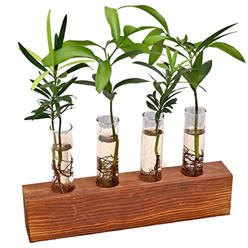 AUTOECHO Pflanzenvermehrungsstation Rack, Holzständer mit Reagenzglas, Desktop-Hydroponik-Terrarium, 3/4-Röhren-Pflanzgefäß Glasvase für Heimtextilien von AUTOECHO