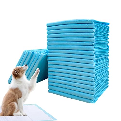 AUTOECHO Pinkelpads für Welpen, Pinkelpads für Hunde,wasserdichte Haustier-PIPI-Pads - Pinkel-Pads für das Training von Welpen, schnell trocknend, Keine auslaufenden Pinkel-Pads, Hunde-Trainingspads AUTOECHO Pinkelpads für Welpen, Pinkelpads für Hunde,wasserdichte Haustier-PIPI-Pads - Pinkel-Pads für das Training von Welpen, schnell trocknend, Keine auslaufenden Pinkel-Pads, Hunde-Trainingspads von AUTOECHO