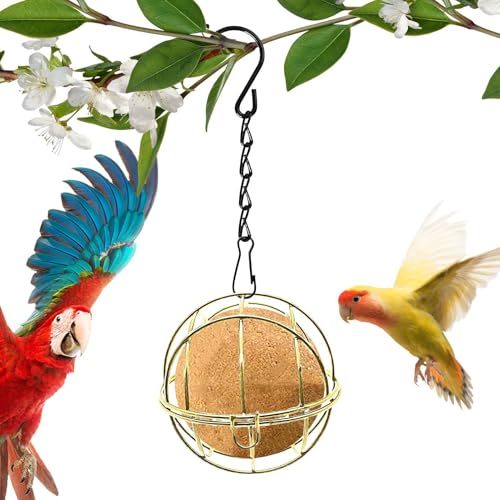 AUTOECHO Vogelfutterbälle,Wildvogelfutterbälle | Vogelhäuschen zum Aufhängen im Freien | Talgball-Futterspender, hängender Vogelfutterspender für den Außenbereich, robuster Vogelfutterspender aus AUTOECHO Vogelfutterbälle,Wildvogelfutterbälle | Vogelhäuschen zum Aufhängen im Freien | Talgball-Futterspender, hängender Vogelfutterspender für den Außenbereich, robuster Vogelfutterspender aus von AUTOECHO