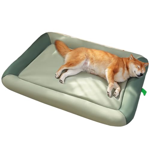 AUTOECHO Wasserundurchlässiges Hundebett | Hundematte Für Welpen & Schlafunterlage,Weiches Antirutsch-Kuschelbett Für Schlafzimmer, Arbeitszimmer & Wohnzimmer Mit Hochwertiger Katzenkissen AUTOECHO Wasserundurchlässiges Hundebett | Hundematte Für Welpen & Schlafunterlage,Weiches Antirutsch-Kuschelbett Für Schlafzimmer, Arbeitszimmer & Wohnzimmer Mit Hochwertiger Katzenkissen von AUTOECHO