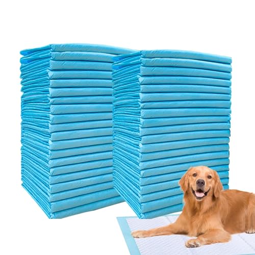 AUTOECHO Wee Wee Pads für Hunde,Puppy Pee Pads | Super saugfähige Welpenunterlagen | Pinkel-Pads für das Training von Welpen, schnell trocknend, keine auslaufenden Pinkel-Pads, Hunde-Trainingspads für AUTOECHO Wee Wee Pads für Hunde,Puppy Pee Pads | Super saugfähige Welpenunterlagen | Pinkel-Pads für das Training von Welpen, schnell trocknend, keine auslaufenden Pinkel-Pads, Hunde-Trainingspads für von AUTOECHO