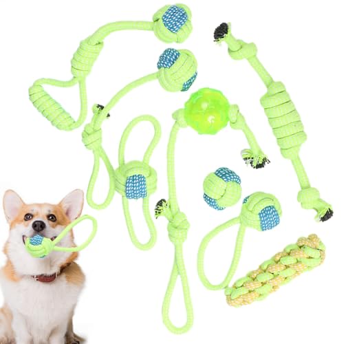 AUTOECHO Welpe Zahne Spielzeug, Baumwoll -Haustier Pull Toy | 8 Stücke Welpe Teether Dog Seil Interaktiver Tauziehen - Knotenschlepper, Innen im Freien, tragbare Kauenspielzeug für Reisen, Parkspaß AUTOECHO Welpe Zahne Spielzeug, Baumwoll -Haustier Pull Toy | 8 Stücke Welpe Teether Dog Seil Interaktiver Tauziehen - Knotenschlepper, Innen im Freien, tragbare Kauenspielzeug für Reisen, Parkspaß von AUTOECHO