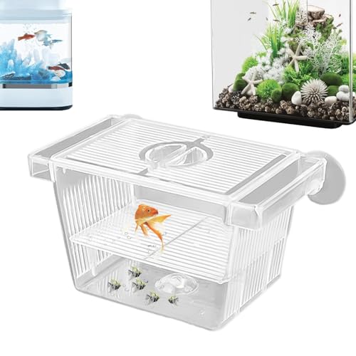 Fischisolationsbox,Kristall-Acryl-Fischzuchtbox für Aquarien - Brutkasten aus Acryl für Babyfische, Garnelen, Clownfische und Guppys Autoecho von AUTOECHO