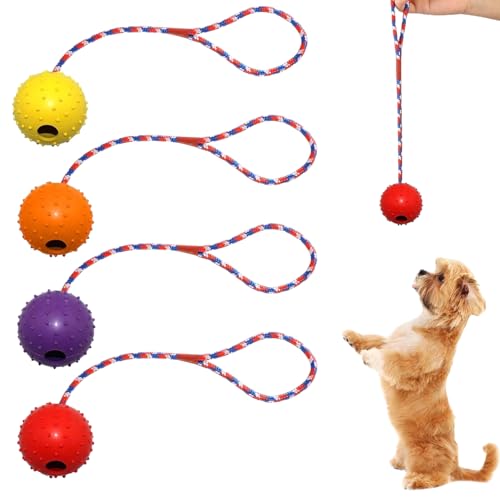 AUTOWNLUX 4 Stück Hundespielzeug Ball mit Schnur, ø 5/30 cm Hundespielzeug Ball Hund am Seil Naturkautschuk, Hundebälle Kleine (Rot, Gelb, Lila, Orange) von AUTOWNLUX