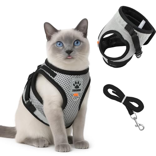 AUYAO Katzengeschirr mit Leine Katzengeschirr Katzengarnitur Ausbruchsicher Set 3Pcs mit Katzenleine und Geschirr Ausbruchsicheres Katzenleine für Katzen Kitten Brustgeschirr Cat Harness (Schwarz,S) von AUYAO