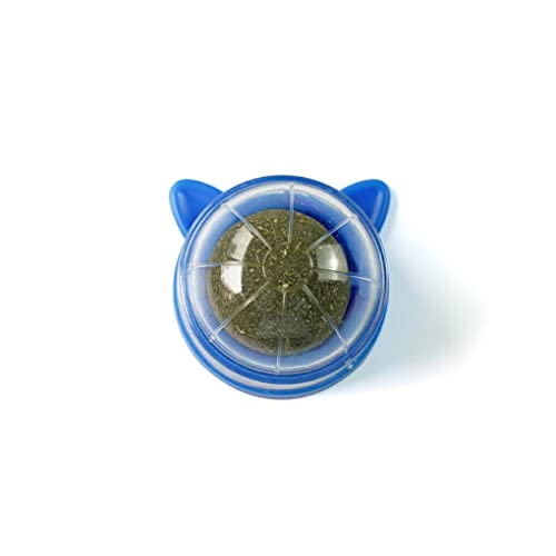 AUklOPVZZ ABS Katzenminze Ball, tragbar, niedlich, bunt, interaktives 360 Grad drehbares, feuchtigkeitsfestes Zahnreinigungs Snack Haustier Spielzeug Spielzeug, Blau von AUklOPVZZ