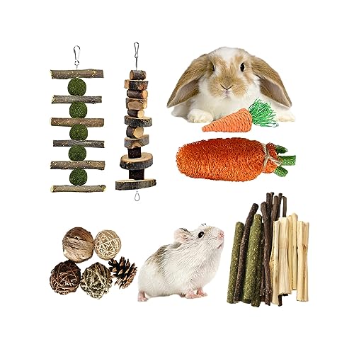 AUklOPVZZ Kauspielzeug Set – für kleine Räume, langlebig und stilvoll, Holztier Kauspielzeug, Kauspielzeug Set, Kaninchen, Meerschweinchen, interessant, 12 teiliges Set von AUklOPVZZ