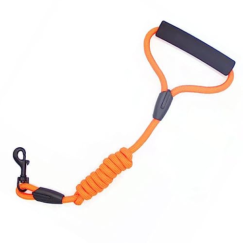 AUklOPVZZ Kleine, mittelgroße Haustierleine, verstellbares Zugseil, tragbar, zu Fuß, Laufen, Joggen, Anti Stretching Gurtgurt, 0.8 cm AUklOPVZZ Kleine, mittelgroße Haustierleine, verstellbares Zugseil, tragbar, zu Fuß, Laufen, Joggen, Anti Stretching Gurtgurt, 0.8 cm von AUklOPVZZ