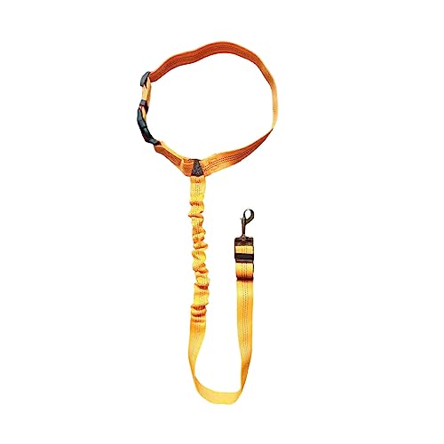 AUklOPVZZ Pet Walking Leine Tragbare Ersatz Einfarbig Einstellbare 360 Grad Drehbare Schnalle Haustiere Kragen Harness Halsband, Orange von AUklOPVZZ