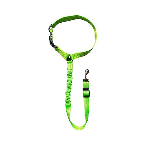 AUklOPVZZ Skalierbarer für Hunde – verstellbar und zuverlässig, hält das Haustier sicher. Einfach zu verwendendes Halsband für Haustiere. Starke Praktikabilität, Leuchtendes Grün, 1 von AUklOPVZZ