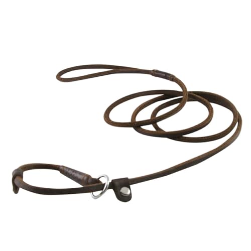 AUklOPVZZ Stilvolle Hundeleine aus Leder, bequem und zuverlässig, 150 cm Länge, Hundezubehör, Hundeleine, Heimtierbedarf, Hundeleine AUklOPVZZ Stilvolle Hundeleine aus Leder, bequem und zuverlässig, 150 cm Länge, Hundezubehör, Hundeleine, Heimtierbedarf, Hundeleine von AUklOPVZZ