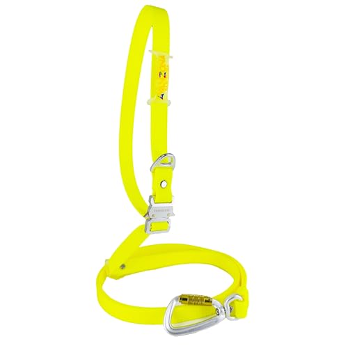 Freihändige Hundeleine, Wasserdicht, Aluminiumschnalle, PVC-beschichtetes Gurtband, Verstellbar für Kleine, Mittlere und Große Hunde. Gelb. 2cm * (125cm-225cm). von AVANZONA
