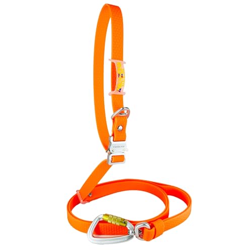 Freihändige Hundeleine, Wasserdicht, Aluminiumschnalle, PVC-beschichtetes Gurtband, Verstellbar für Kleine, Mittlere und Große Hunde. Orange. 2.5cm * (125cm-225cm). von AVANZONA