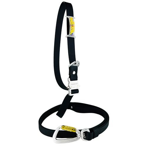 Freihändige Hundeleine, Wasserdicht, Aluminiumschnalle, PVC-beschichtetes Gurtband, Verstellbar für Kleine, Mittlere und Große Hunde. Schwarz. 2.5cm * (125cm-225cm). von AVANZONA