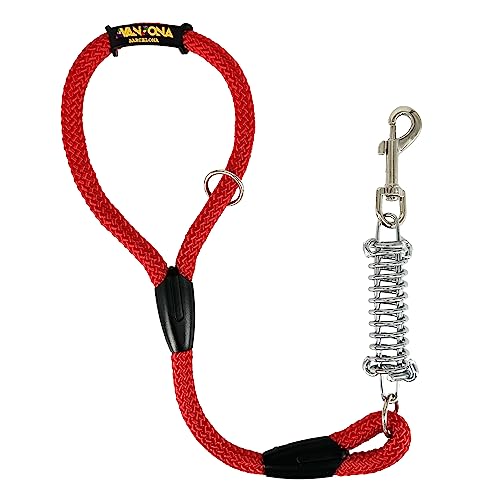Hundeleine, Stoßdämpfer, Anti-Zug, für mittelgroße und große Hunde, 60cm. Rot von AVANZONA