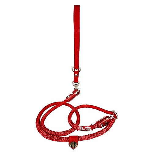 Hundeleine mit Halsband, 2 in 1, Nylon und Leder, für kleine, mittlere und große Hunde. Rot&Rot von AVANZONA