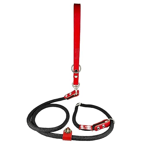 Hundeleine mit Halsband, 2 in 1, Nylon und Leder, für kleine, mittlere und große Hunde. Schwarz&Rot von AVANZONA