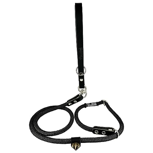 Hundeleine mit Halsband, 2 in 1, Nylon und Leder, für kleine, mittlere und große Hunde. Schwarz&Rot Hundeleine mit Halsband, 2 in 1, Nylon und Leder, für kleine, mittlere und große Hunde. Schwarz&Rot von AVANZONA