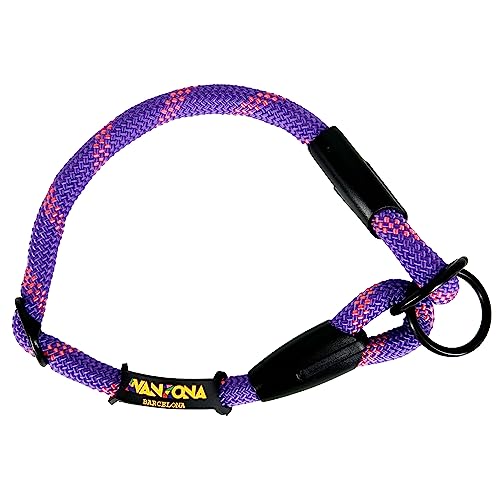 Zugstopp Halsband Hunde. Semi Martingale Hundehalsband für Kleine, Mittlere und Große Hunde. Verstellbarer Schlupf auf Nylon Rund. Violett mit Rosa von AVANZONA