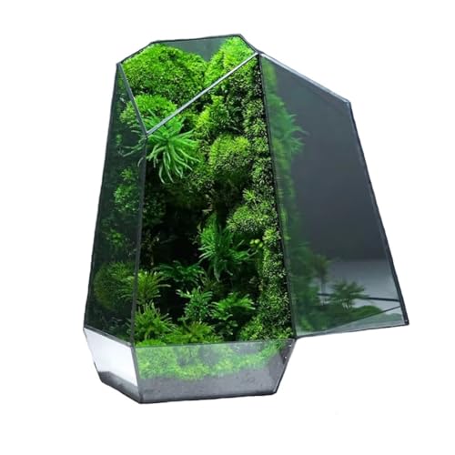 Handgefertigtes Großes Glas-Pflanzenterrarium Mit Deckel, Terrarium, Sukkulenten & Luft-Pflanzgefäß Für Zuhause, Garten, Büro, Dekoration, Mini-Gewächshaus(Keine Pflanzen) (Color : 14 * 14 * 27cm) von AVCULT