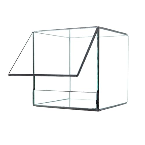 Kleines Geometrische Glas-Terrarium Mit Deckel, Für Tischplatte, Sukkulenten, Als Pflanzgefäß, Die Fensterbank Für Farn Moos, Display Blumentopf (ohne Pflanzen) (Color : 10cm) von AVCULT