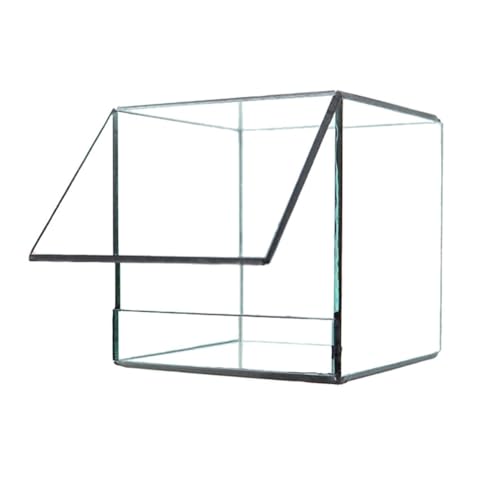 Kleines Geometrische Glas-Terrarium Mit Deckel, Für Tischplatte, Sukkulenten, Als Pflanzgefäß, Die Fensterbank Für Farn Moos, Display Blumentopf (ohne Pflanzen) (Color : 19cm) von AVCULT