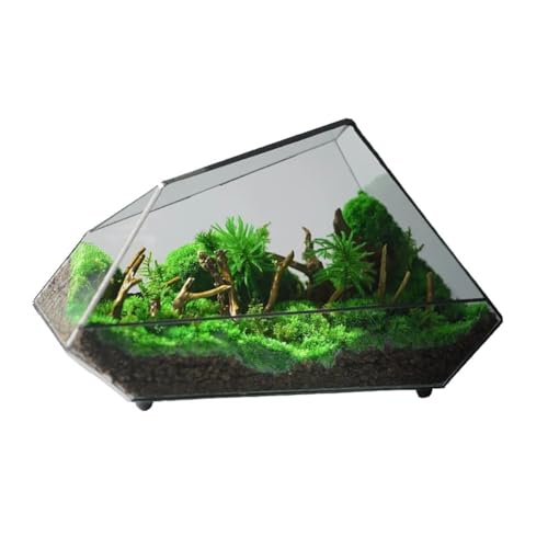 Unregelmäßiges Glas Geometrische Terrarienbox, Handmade Pflanzencontainer, Blumentopf Für Pflanzen, Garten Tischdekoration (Ohne Pflanzen) von AVCULT