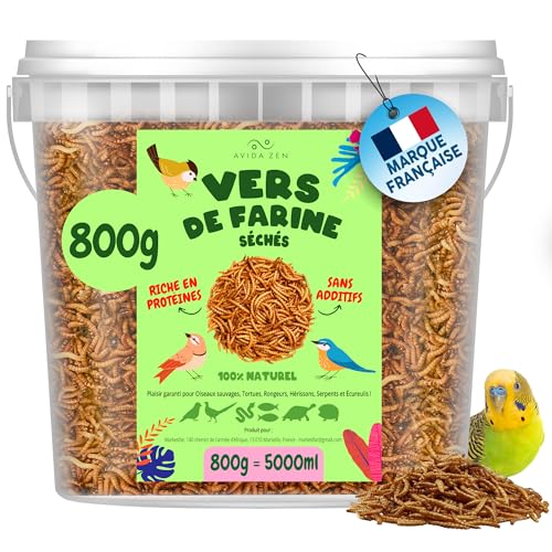 Avida Zen Mehlwürmer, getrocknet, 800 g – 5 l Leckereien – Naturfutter reich für Fische, Vögel, Schildkröten, Igel, Nagetiere und Reptilien – Trockenfutter Avida Zen Mehlwürmer, getrocknet, 800 g – 5 l Leckereien – Naturfutter reich für Fische, Vögel, Schildkröten, Igel, Nagetiere und Reptilien – Trockenfutter von AVIDA · ZEN