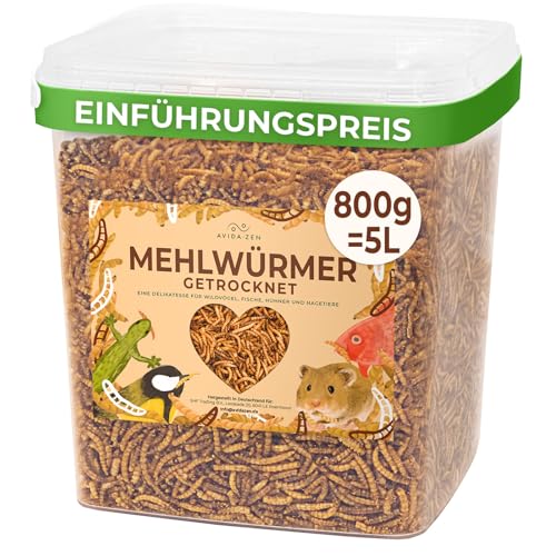 800g Mehlwürmer getrocknet, ideal als Wildvogelfutter und Igelfutter, 800g (entspricht 5 Litern!) getrocknete Mehlwürmer, nährstoffreicher Snack für Nager und Reptilien von AVIDA ZEN